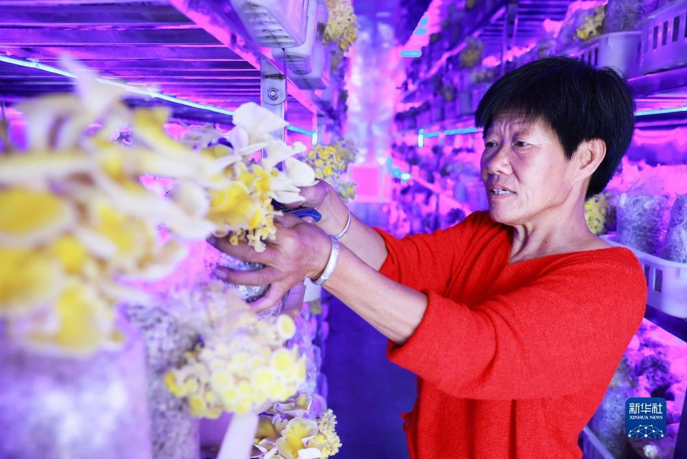 捕鱼游戏赢现金